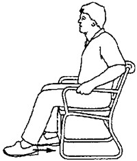 Seated Heel Drags 
